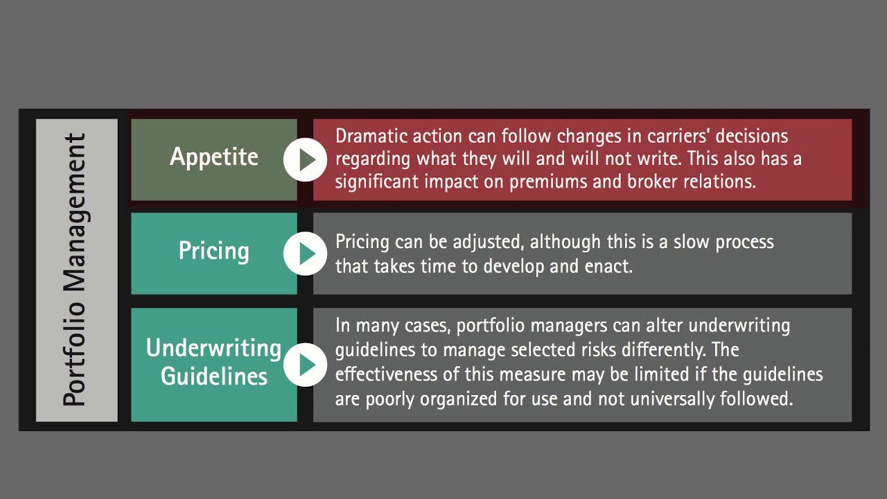 How insurance portfolio management can help insurers be How insurance portfolio management can help insurers be