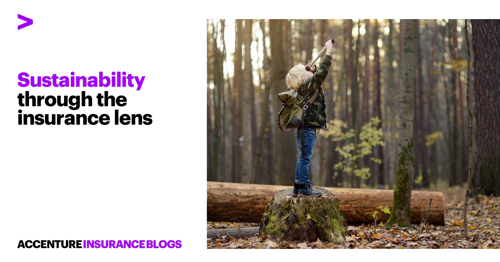 Sustainability through the insurance lens Insurance Blog Accenture